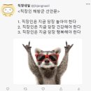 비에이치씨(BHC)덕천점 이미지