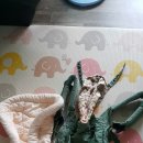 삼오2구 이미지