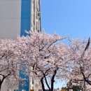 삼익비치A 상가시장 이미지