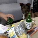 폴리파크 목포점 이미지