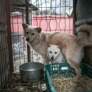 유순농장 이미지