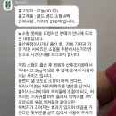 (주)오스코코리아 | 숲바른 기저귀 박람회 혜택가 300팩 구독 내돈내산 실사용후기