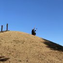 (주)천마렌트카 | [경주 여행] 경주엑스포 공원 솔거 미술관 포토존에서 인생샷 건지기