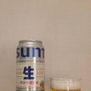 비루 | 시원하게 마시는 여름 맥주 산토리 나마 비어 캔 나마 비루 맛 후기