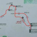 순천-32호 이미지