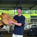 태영목장 이미지