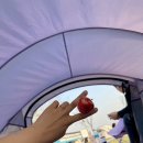 신일(아) | 스테나 가습기, 신일 무선 선풍기, 타고가요 캐리어 등 AWW 추천 리스트 후기 모음