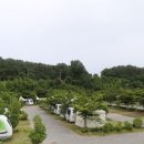 숲속가든캠핑장 이미지