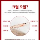 에이치네이처