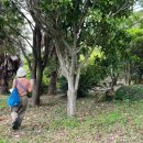 부영농장 이미지