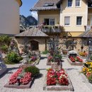 정원에 머물다 이미지