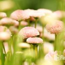 동화구연 이미지