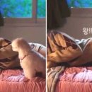 설탕하우스
