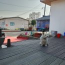 반월민박 이미지