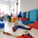 심리운동센터 숲 이미지