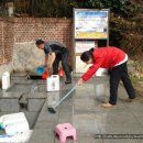 버드실샘 이미지