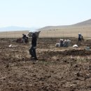 진흥농장 이미지