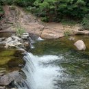 솔향기힐링펜션 이미지