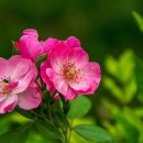 연합행정사사무소 이미지