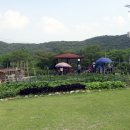 갑진농장 이미지