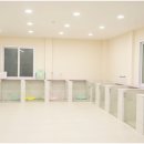 막둥이애견 이미지