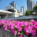 북부동 등산로 이미지