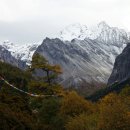 샹그릴라 이미지