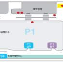 세중여행사 네이버블로그
