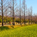 대저생태공원 이미지