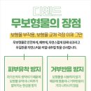 디엔드핏
