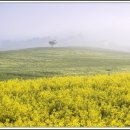 박순옥농장 이미지