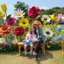 세교복지재단 경로식당 | 오산 장미축제 2026 고인돌공원 주차 일정표 (석가탄신일 연휴 경기도 아이와 가볼만한곳)