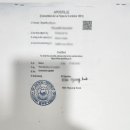 제주공인번역행정사사무소 네이버블로그