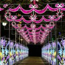 오월드2 이미지