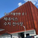 수지점 현대자동차 | 제네시스 수지 전시장 | 패밀리카 시승 | 용인 가볼만한 곳