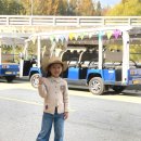 천천이니.숲.우리점 | 아이랑 갈 만한 곳_양재천 천천투어만 세번째. 거위 먹이주기와 뗏목체험 후기