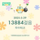 모닝썬