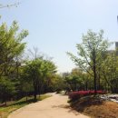 허산등산로1 이미지