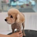 오늘의 개스트 이미지