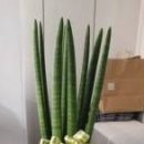 번창카센타 이미지