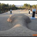 수성최씨시조묘 이미지