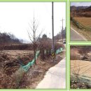 옥천군안남면보건지소 이미지