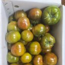 남구-038 이미지