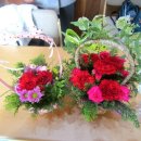 이종수의 즐거운 노래세상 이미지