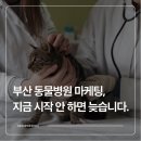 관문동물병원 | 부산 동물병원 마케팅, 지금 시작 안 하면 늦습니다.
