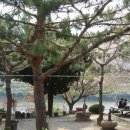 섬진강제첩국 이미지