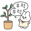 영전농장 네이버블로그
