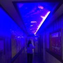 시드니노래연습장 이미지