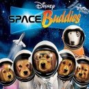 C.스페이스 이미지