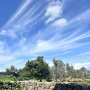 애월숲에102 이미지